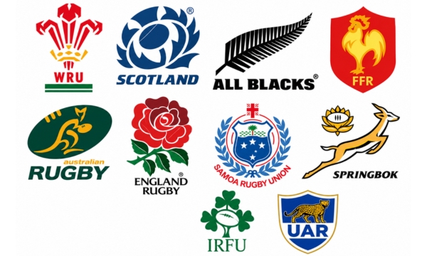 Best Rugby Teams: See Who is at the Top